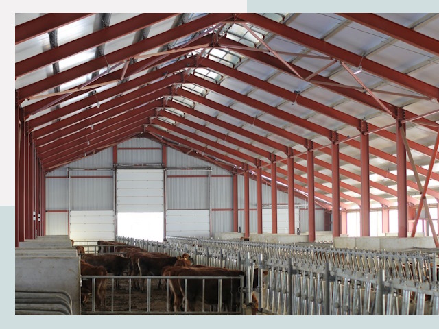 Строительство коровников в Березниках