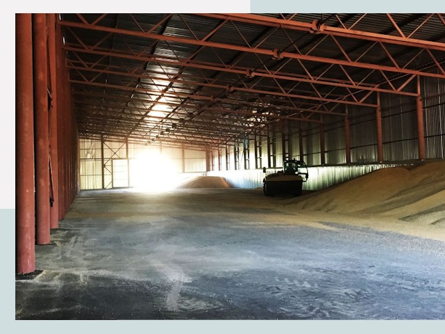 Строительство зернохранилищ в Березниках