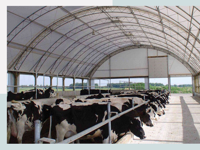 Тентовые коровники в Березниках